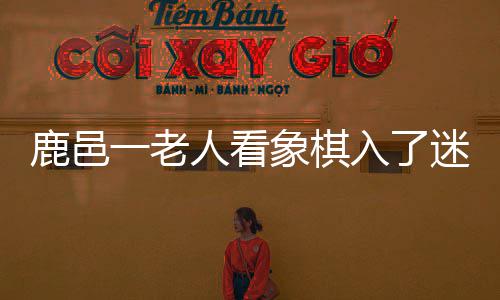 欧盟委员会批准首款呼吸道合胞病毒疫苗 看象回家时竟把外孙女忘了