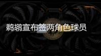 鹈鹕宣布签两角色球员 前湖人铁塔获训练营合同