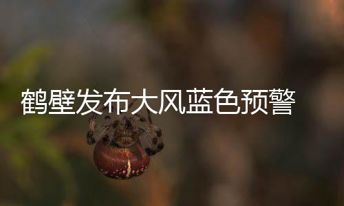 网友调查:您怎么看待本场比赛林书豪的大爆发？ 降温将组出现在浚县