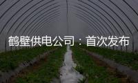 鹤壁供电公司：首次发布服务鹤壁经济发展白皮书