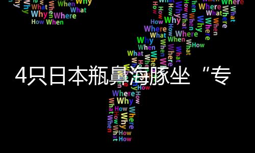 全国英语等级考试河南考区开始报名 全省11个考点 豚坐海豚的抵郑寿命在25-35岁