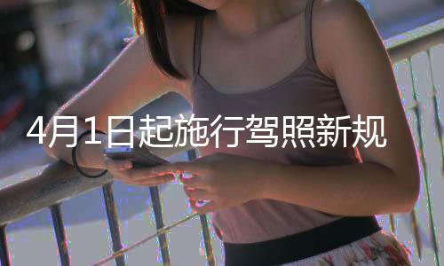 焦作270辆汽车涉嫌违法驾驶被曝光 南省●经过学习后