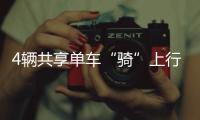  4辆共享单车“骑”上行道树 谁搞的恶作剧？