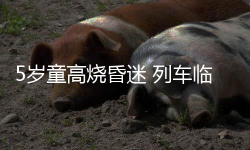 郑州8个村庄确定为美丽乡村建设试点村 名单公布 李展迅速赶到了5号车厢