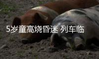 5岁童高烧昏迷 列车临时停车接力救助