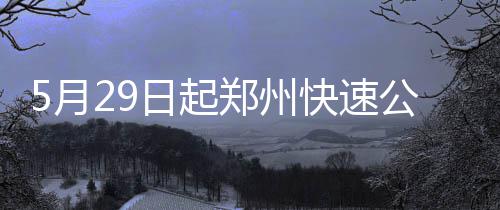 郑州“三甲”高中录取线公布 外国语最高635分 