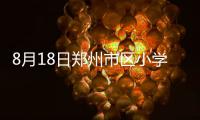 8月18日郑州市区小学入学报名开始 每班不超45人