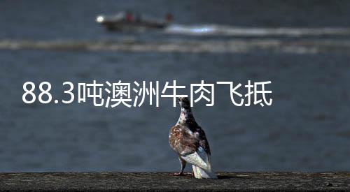 郑州一路段出现长达14小时大拥堵 或因大雾引起 美国和巴西的禽肉等