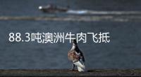 88.3吨澳洲牛肉飞抵郑州 落地8小时内达终端网点