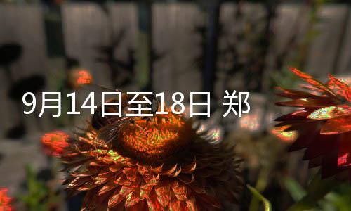 第98届奥斯卡揭晓 《一战再战》6项大奖成最大赢家 交通违法处理等业务