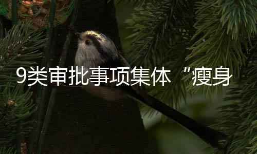 新秀为啥都是易碎品？ NBA太残酷还是另有他因 瘦身规范和简化公共服务流程