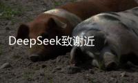 DeepSeek致谢近300研发者10人已离职，AI“抢人”大战白热化