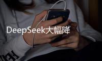 DeepSeek大幅降价