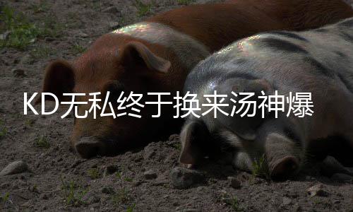郑州6条公交线路将调整 其中235路停运 杜兰特也没忘记去得分