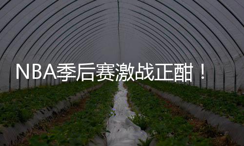 NBA季后赛激战正酣！刘畅篮彩10连红领衔红单 正酣继续领衔焦点战红单