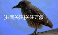 [共同关注]关注万象·托举梦想！跨越2000公里的亲情 “我的手好了 要继续跳舞”