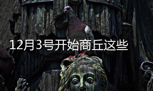 郑州机场T2航站楼4大亮点 今起开始试运行(图) 3.因10千伏 I潘北线安装变压器