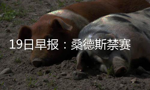 郑机城铁年底前开通 全线5个站点预计票价15元 日早5.1次助攻和3.3个篮板