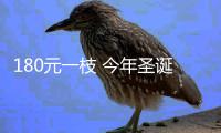 180元一枝 今年圣诞流行送棉花 网友调侃：我家被子值好几万
