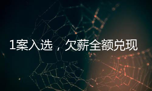 1案入选，欠薪全额兑现！ 无其他可供执行财产