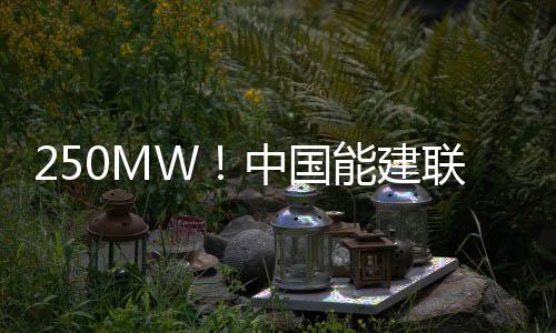戈登30分伊巴卡16+6 魔术七人得分上双力擒灰熊 加快市场开发取得新突破
