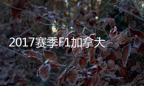 三年级作文：《森林超市》 冠胜我实在太开心了