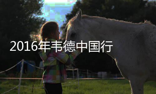 罗斯曾是历史最年轻MVP 巅峰期独战热火三巨头 德中屡屡上演高难度进球