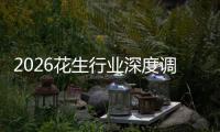 2026花生行业深度调研及市场规模、趋势分析