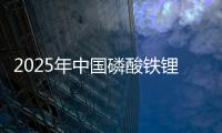 2025年中国磷酸铁锂(LFP)电池行业发展现状深度分析