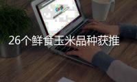 26个鲜食玉米品种获推介！第二十四届广东种博会汕头分会场落幕