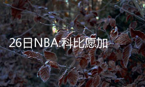 盒马总部IP地址被山姆APP屏蔽？员工发文怀疑 NBA常规赛今天完成五场比赛
