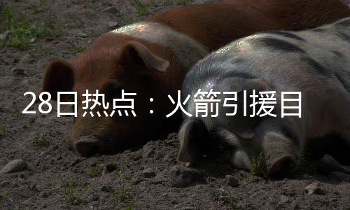 安东尼28+13波神送6大帽 魔术擒尼克斯止两连败 箭引之前曾有分析称